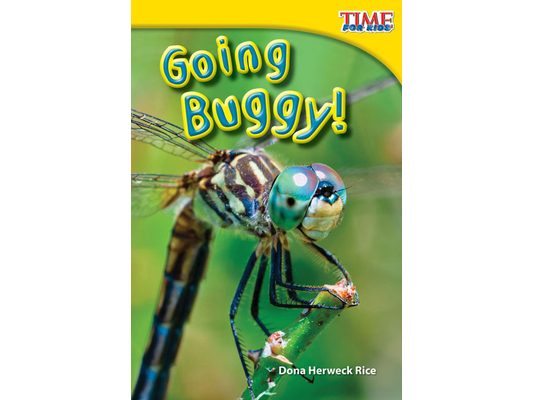 Going Buggy!
