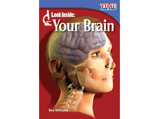 Look Inside: Your Brain