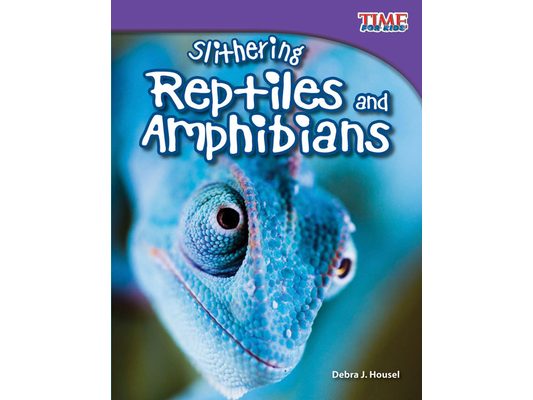 Slithering Reptiles and Amphibians