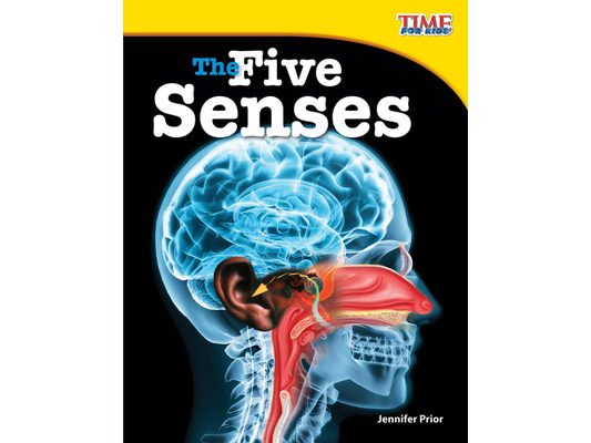 The Five Senses