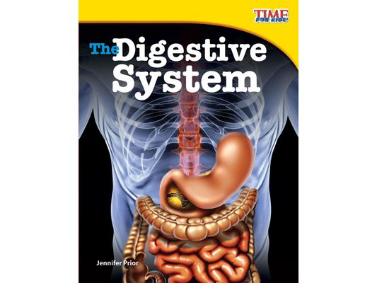 The Digestive System