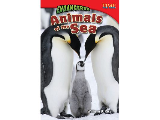 Endangered Animals of the Sea