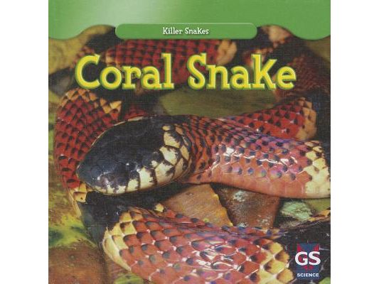 Coral Snake