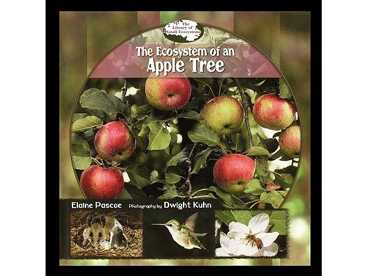 Ecosystem of an Apple Tree