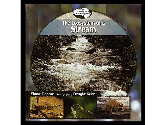 The Ecosystem of a Stream