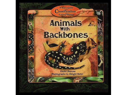 Animals with Backbones
