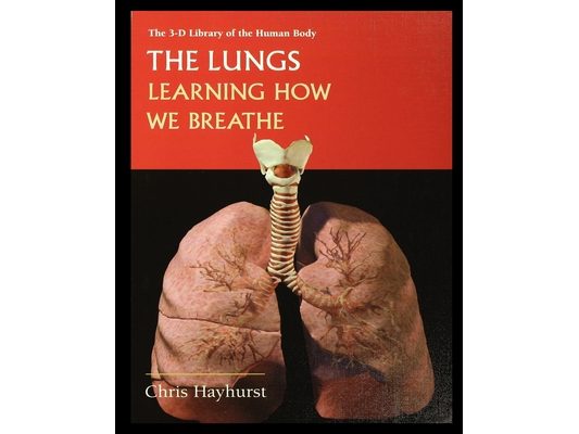 The Lungs: Learning about How We Breathe