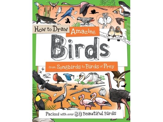 How to Draw Amazing Birds: From Songbirds to Birds of Prey