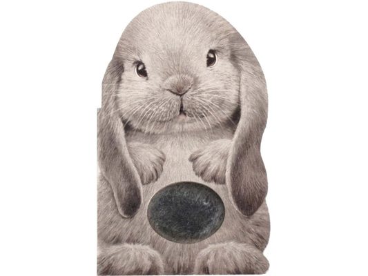 Furry Bunny