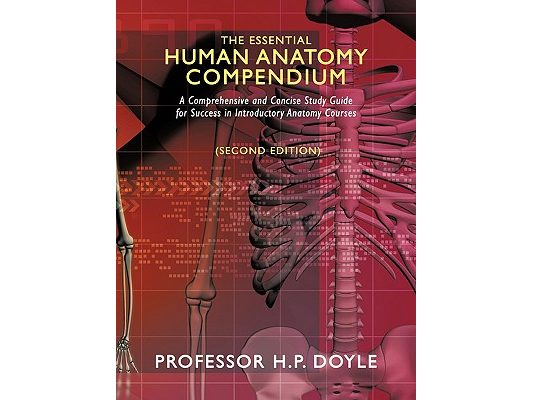 The Essential Human Anatomy Compendium: A Comprehensive and Concise Study Guide for Success in Introductory Anatomy Courses