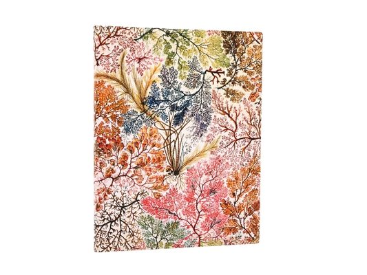 Anemone Ultra Unlined Softcover Journal, 176pg, 100gsm by Paperblanks (William Kilburn)