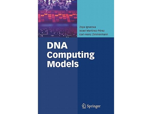 DNA Computing Models
