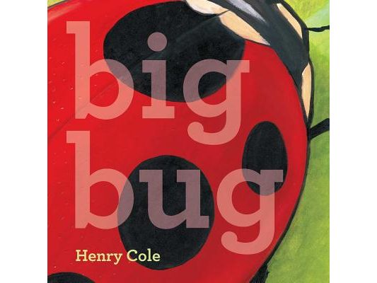 Big Bug