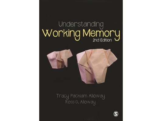 Understanding Working Memory