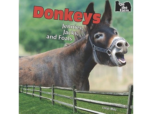 Donkeys