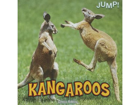 Kangaroos