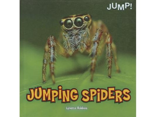 Jumping Spiders