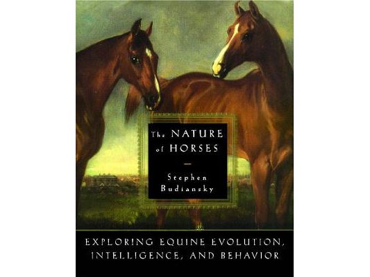The Nature of Horses