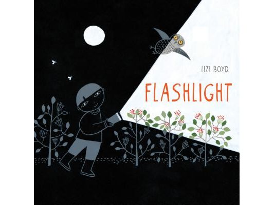 Flashlight: (Picture Books, Wordless Books for Kids, Camping Books for Kids, Bedtime Story Books, Children's Activity Books, Children's Nature Books)