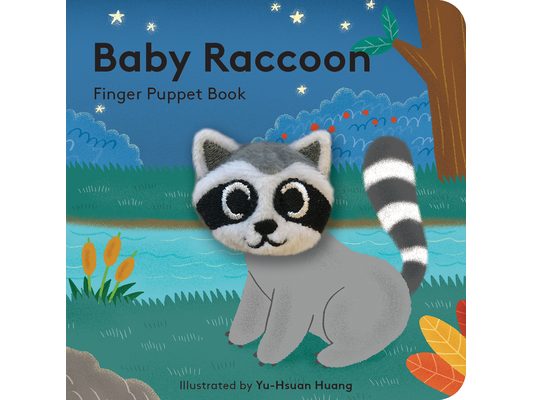 Baby Raccoon
