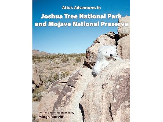 Attu's Adventures in Joshua Tree National Park and Mojave National Preserve