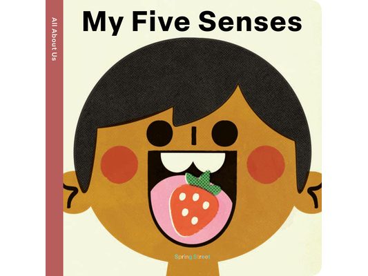 Spring Street All about Us: My Five Senses