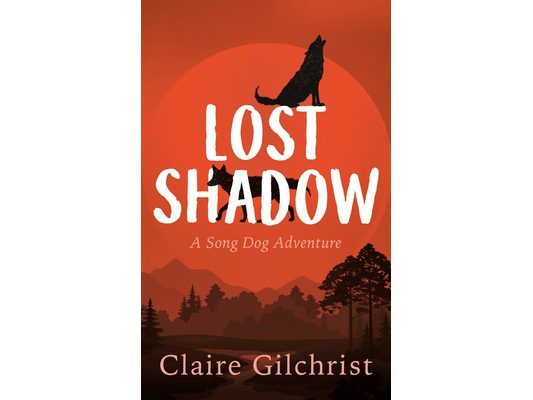 Lost Shadow