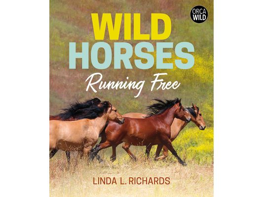 Wild Horses: Running Free