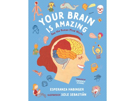 Your Brain Is Amazing: How the Human Mind Works