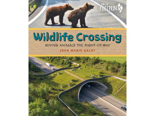 Wildlife Crossing: Giving Animals the Right-Of-Way
