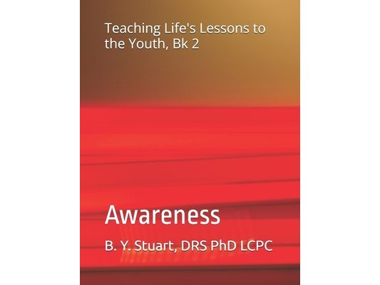 Teaching Life's Lessons to the Youth, Book 2: Awareness