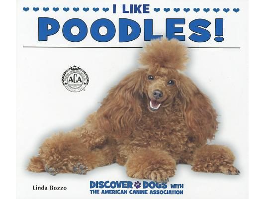 I Like Poodles!