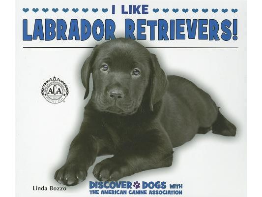 I Like Labrador Retrievers!