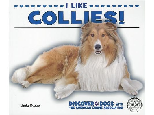 I Like Collies!