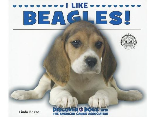 I Like Beagles!
