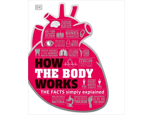 How the Body Works: The Facts Simply Explained