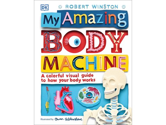 My Amazing Body Machine: A Colorful Visual Guide to How Your Body Works