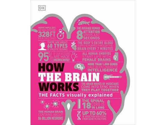 How the Brain Works: The Facts Visually Explained