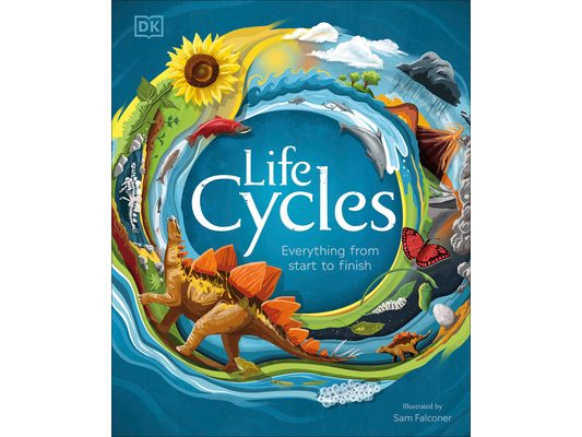 Life Cycles: Everything from Start to Finish