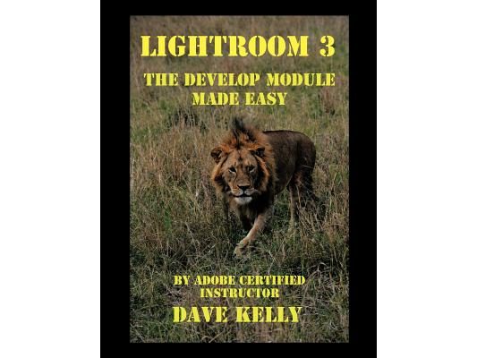 Lightroom(R) 3: The Develop Module Made Easy