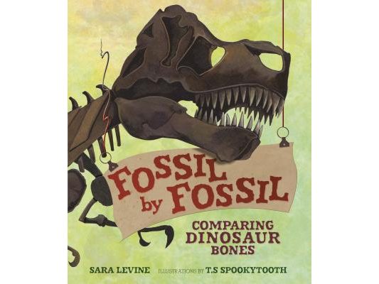 Fossil by Fossil: Comparing Dinosaur Bones