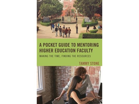 Pocket Guide to Mentoring Higher Education Faculty: Making the Time, Finding the Resources