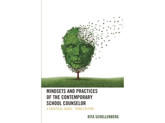Mindsets and Practices of the Contemporary School Counselor: A Practical Guide