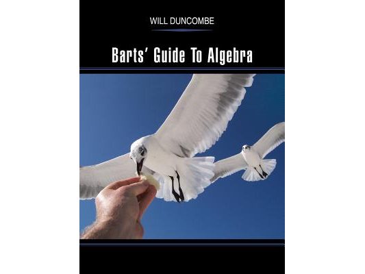 Barts' Guide to Algebra