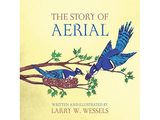 The Story of Aerial