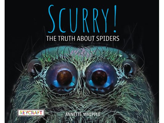 Scurry! the Truth about Spiders