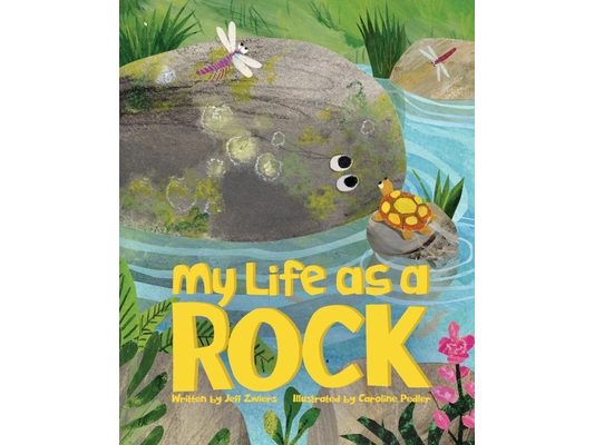 My Life as a Rock