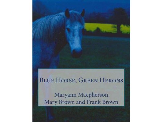 Blue Horse, Green Herons