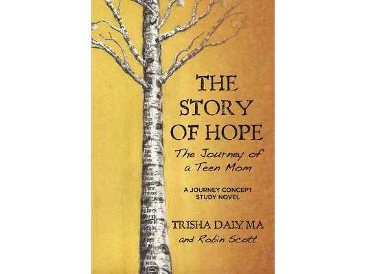 The Story of Hope: The Journey of a Teen Mom: A Journey Concept Study Novel