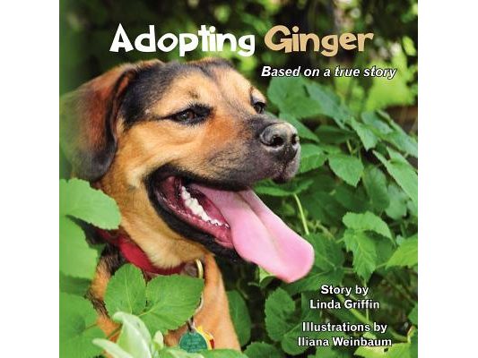 Adopting Ginger